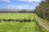 470 Rifle Butts Road, Birregurra, Vic 3242-Image