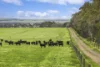 ./470 Rifle Butts Road, Birregurra, Vic 3242-Image