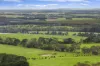 470 Rifle Butts Road, Birregurra, Vic 3242-Image