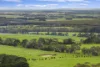 ./470 Rifle Butts Road, Birregurra, Vic 3242-Image