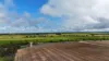 471 Old Dukes Highway, Moorlands, SA 5301