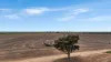 471 Old Dukes Highway, Moorlands, SA 5301-Image