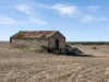 471 Old Dukes Highway, Moorlands, SA 5301-Image