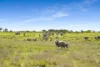 4711 Southern Ports Highway, Robe, SA 5276-Image