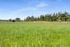 4711 Southern Ports Highway, Robe, SA 5276-Image