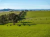478 Illawong Road, Jugiong, NSW 2726-Image