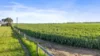48 Bremer Station Road, Strathalbyn, SA 5255-Image