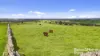 48 Mine Flat Road, Strathalbyn, SA 5255-Image