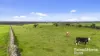 48 Mine Flat Road, Strathalbyn, SA 5255-Image