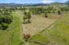 481 Glastonbury Creek Road, Upper Glastonbury, Qld 4570-Image