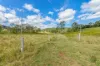481 Glastonbury Creek Road, Upper Glastonbury, Qld 4570-Image