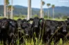 481 Upper Bobo Road, Coffs Harbour, NSW 2450-Image