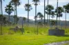 481 Upper Bobo Road, Coffs Harbour, NSW 2450-Image