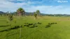 481 Upper Bobo Road, Coffs Harbour, NSW 2450-Image