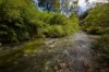 481 Upper Bobo Road, Coffs Harbour, NSW 2450-Image