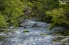 481 Upper Bobo Road, Coffs Harbour, NSW 2450-Image