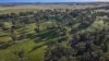 485 One Tree Hill Lane, Maryvale, NSW 2820-Image
