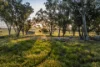 485 One Tree Hill Lane, Maryvale, NSW 2820-Image