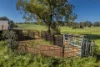 485 One Tree Hill Lane, Maryvale, NSW 2820-Image