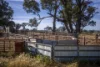 485 One Tree Hill Lane, Maryvale, NSW 2820-Image