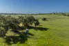 485 One Tree Hill Lane, Maryvale, NSW 2820-Image