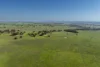 485 One Tree Hill Lane, Maryvale, NSW 2820-Image