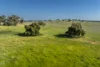 485 One Tree Hill Lane, Maryvale, NSW 2820-Image