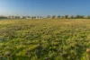 485 One Tree Hill Lane, Maryvale, NSW 2820-Image