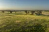 485 One Tree Hill Lane, Maryvale, NSW 2820-Image
