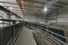 486 Lower Marshes Road, Jericho, Tas 7030-Image