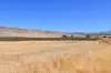 486 Lower Marshes Road, Jericho, Tas 7030-Image