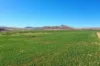 486 Lower Marshes Road, Jericho, Tas 7030-Image