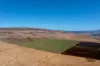 486 Lower Marshes Road, Jericho, Tas 7030-Image