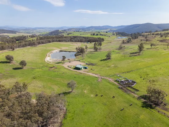 492 Delmore Road, Wattle Hill, Tas 7172