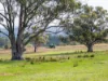 492 Delmore Road, Wattle Hill, Tas 7172-Image