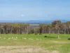 492 Delmore Road, Wattle Hill, Tas 7172-Image