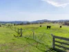 492 Delmore Road, Wattle Hill, Tas 7172-Image