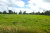 495 Upper Stratheden Road, Kyogle, NSW 2474-Image