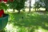 495 Upper Stratheden Road, Kyogle, NSW 2474-Image