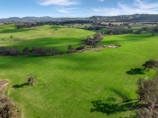 5 Chapmans Road, Glenaroua, Vic 3764
