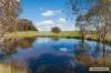 5 Chapmans Road, Glenaroua, Vic 3764-Image