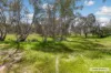 5 Chapmans Road, Glenaroua, Vic 3764-Image