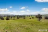 5 Chapmans Road, Glenaroua, Vic 3764-Image