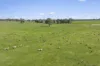 501 Knight Road, Benalla, Vic 3672-Image