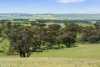 5033 Horrocks Highway, Rhynie, SA 5412-Image