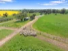 5033 Horrocks Highway, Rhynie, SA 5412-Image