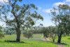 5033 Horrocks Highway, Rhynie, SA 5412-Image