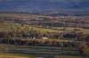 51 Normanhurst Lane, Boorowa, NSW 2586