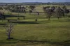 51 Normanhurst Lane, Boorowa, NSW 2586-Image
