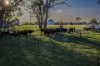 51 Normanhurst Lane, Boorowa, NSW 2586-Image